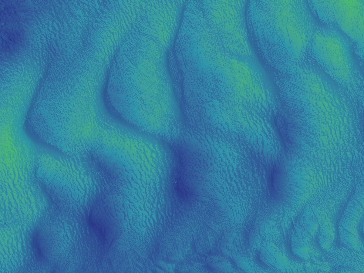 The shape of dunes in the world’s big rivers
